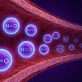 Nitric Oxide Depletion